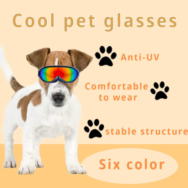 Cool Dog Glasses Windproof for Outdoor Fun