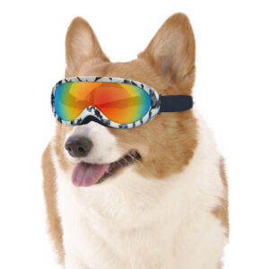 Cool Dog Glasses Windproof for Outdoor Fun